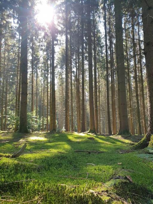 Gite N° 20, En Pleine Nature, Frontalier Signy-le-Petit Eksteriør billede